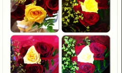 Countdown to wedding anniversary – Roses at work :)