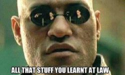 So you want to be a lawyer, huh?