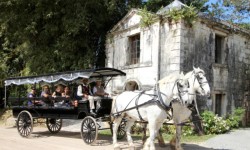 The old meets the new – Good Hope Estate